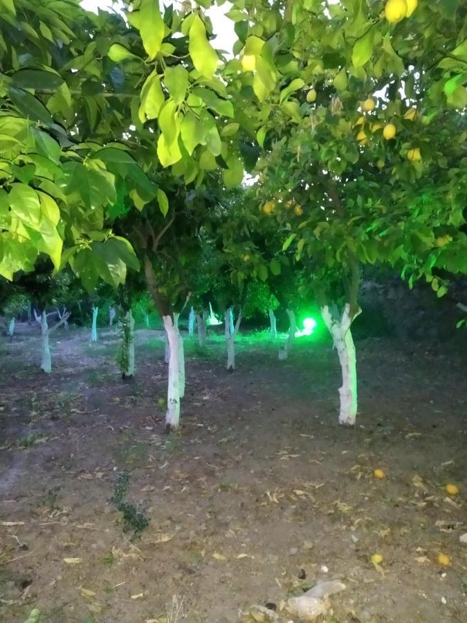 VolissosΠεριβόλι Του Οδυσσέα别墅 外观 照片